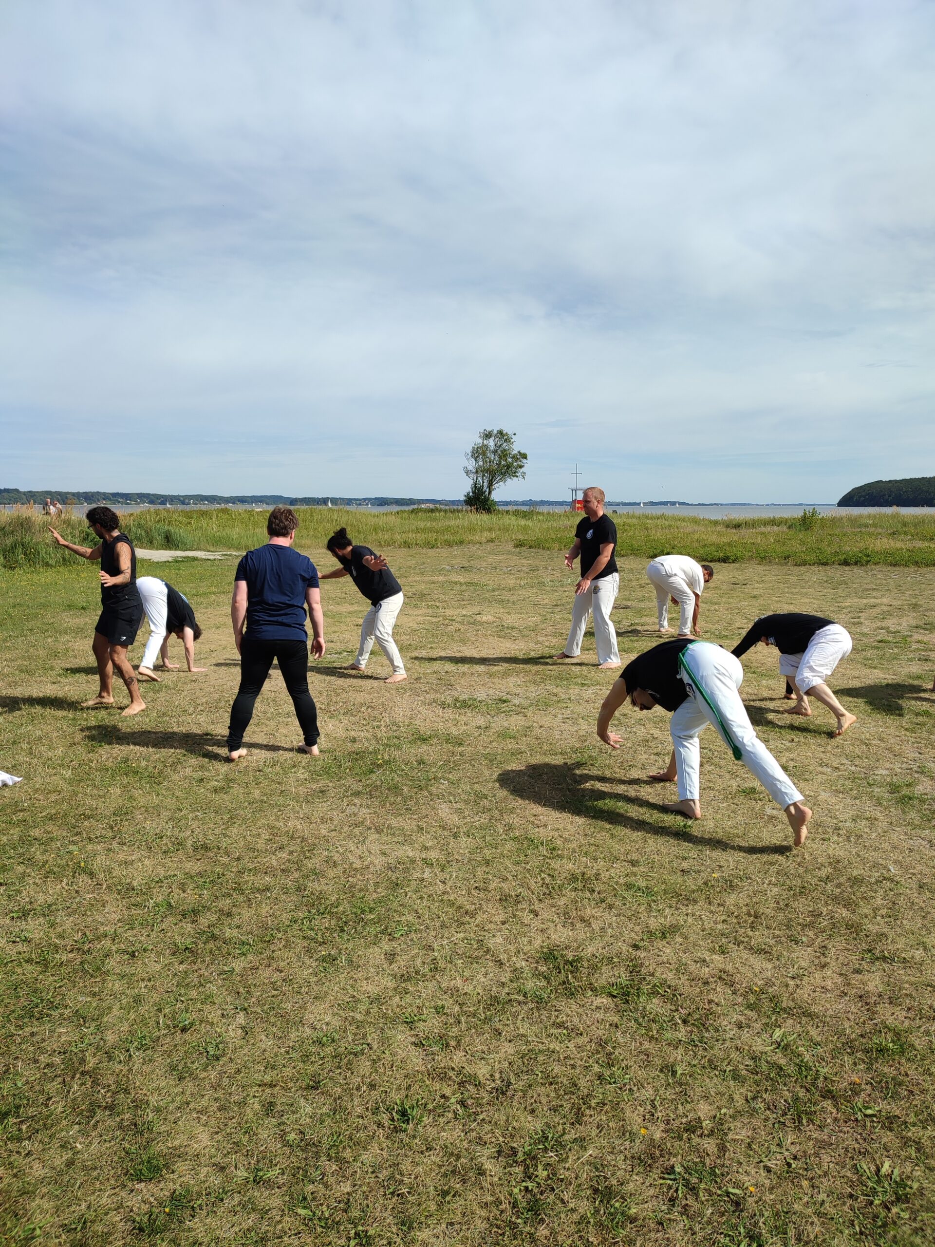 Capoeira beim Flensburger Bewegungssommer an der Solitüde mit Mestre Marcelo