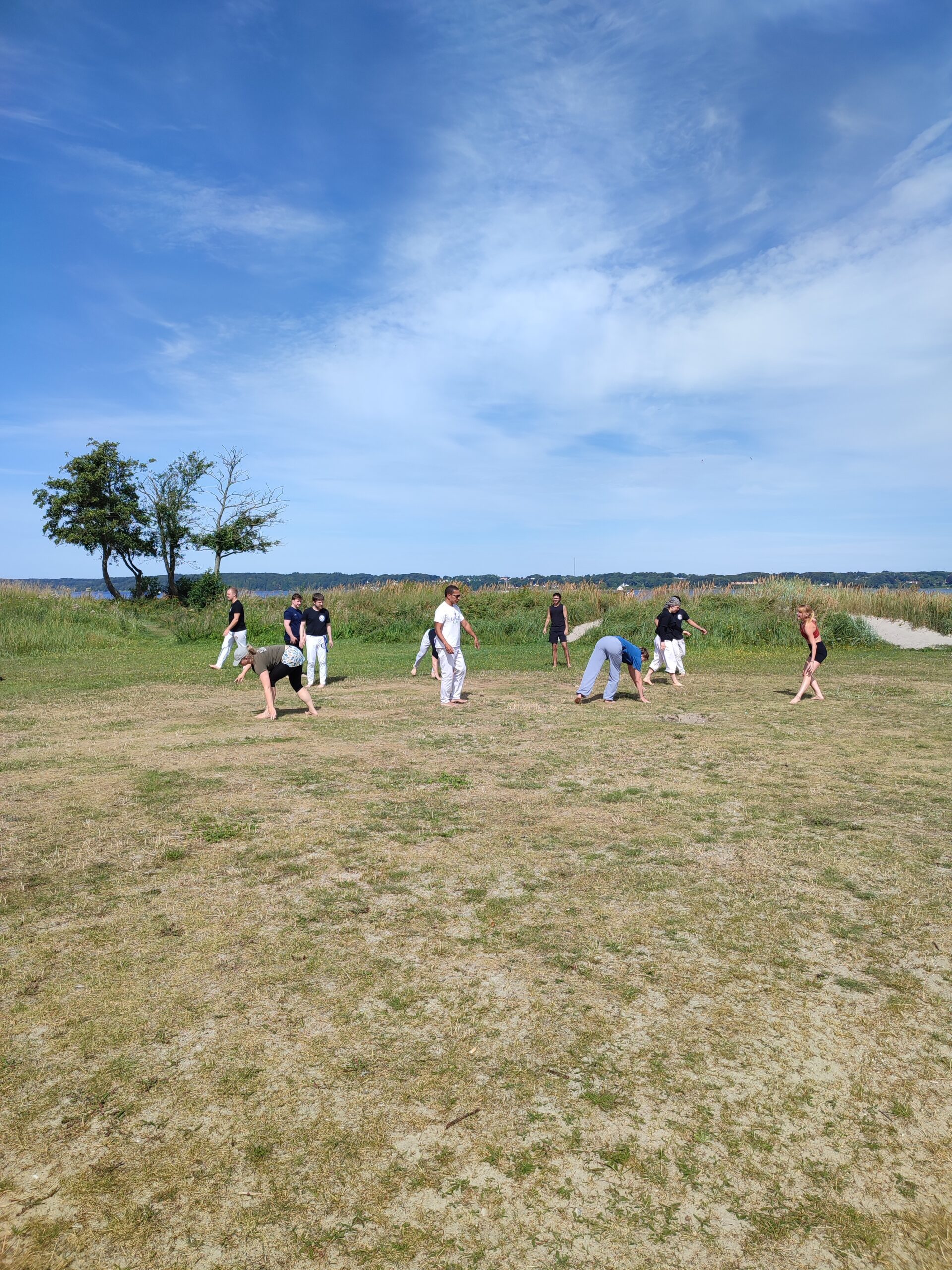 Offenes Capoeira-Training beim Flensburger Bewegungssommer